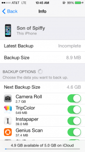 iOS iPhone iCloud backup storage settings