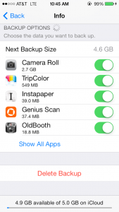 Deleting iCloud Backup