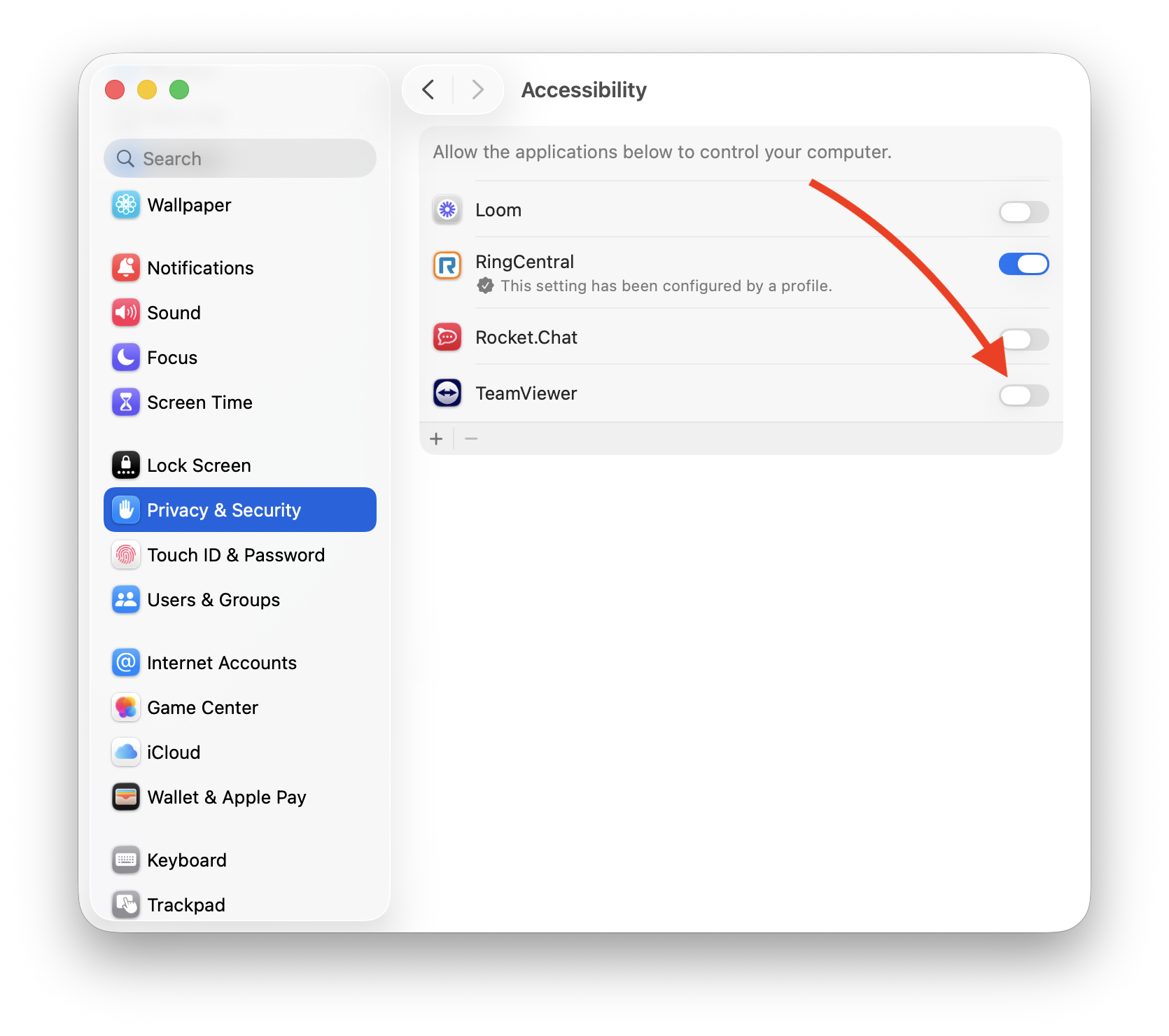 macOS system settings, window showing "accessibility" at the top with a list of apps, including TeamViewer. One app has a blue toggle switched on and three apps, including TeamViewer have gray toggles showing that they are switched off. A red arrow points to the TeamViewer toggle.